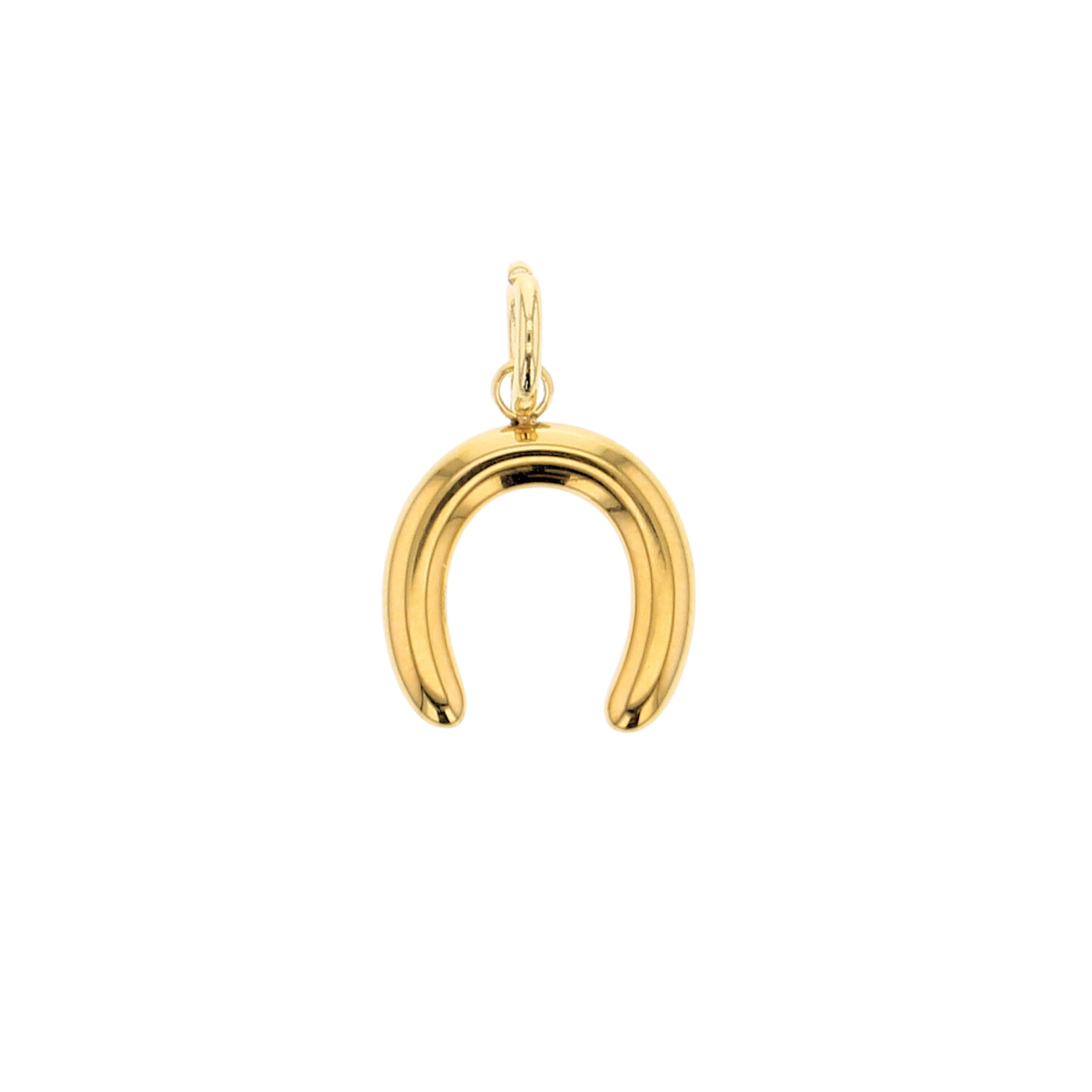 Horseshoe Charm