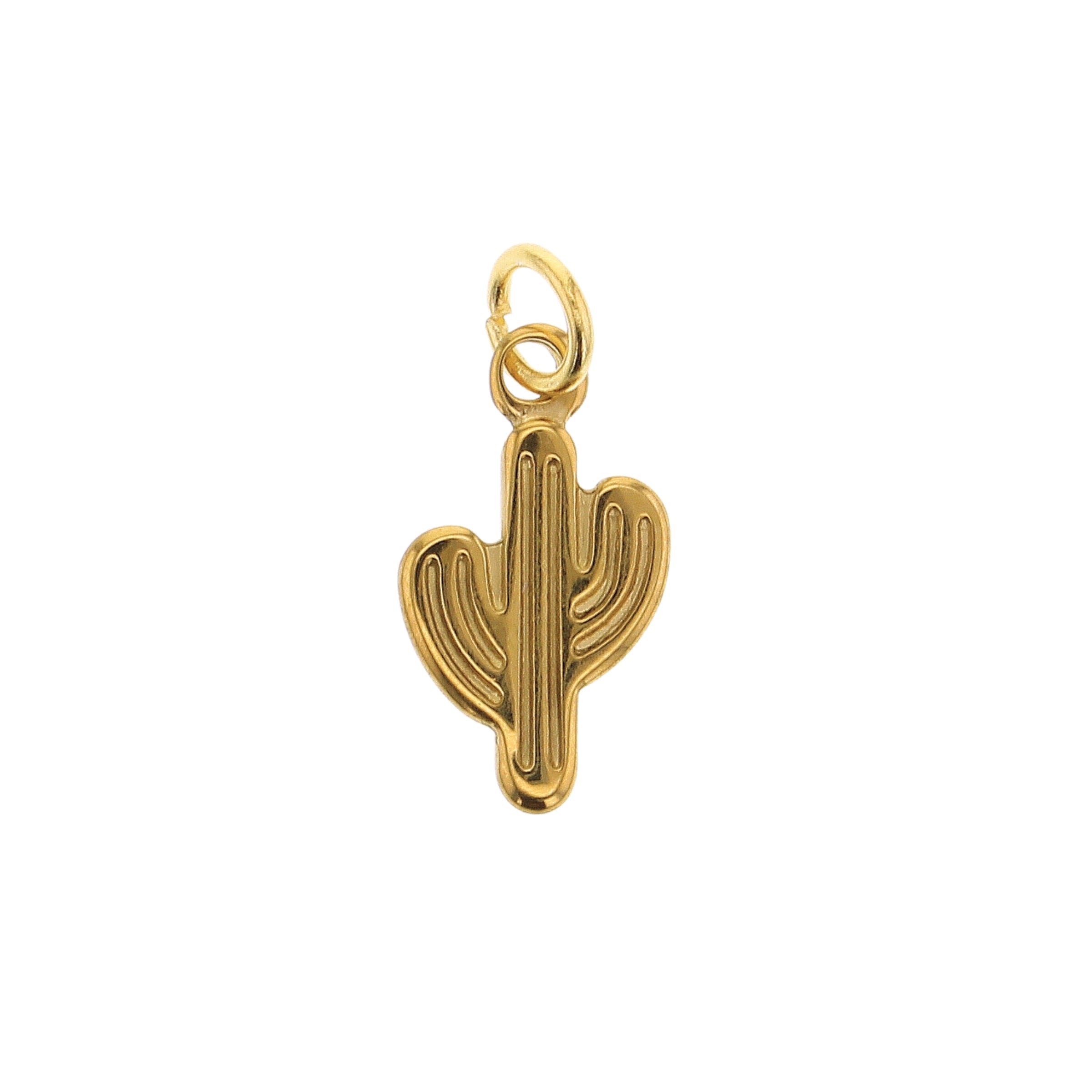 Large Cactus Charm