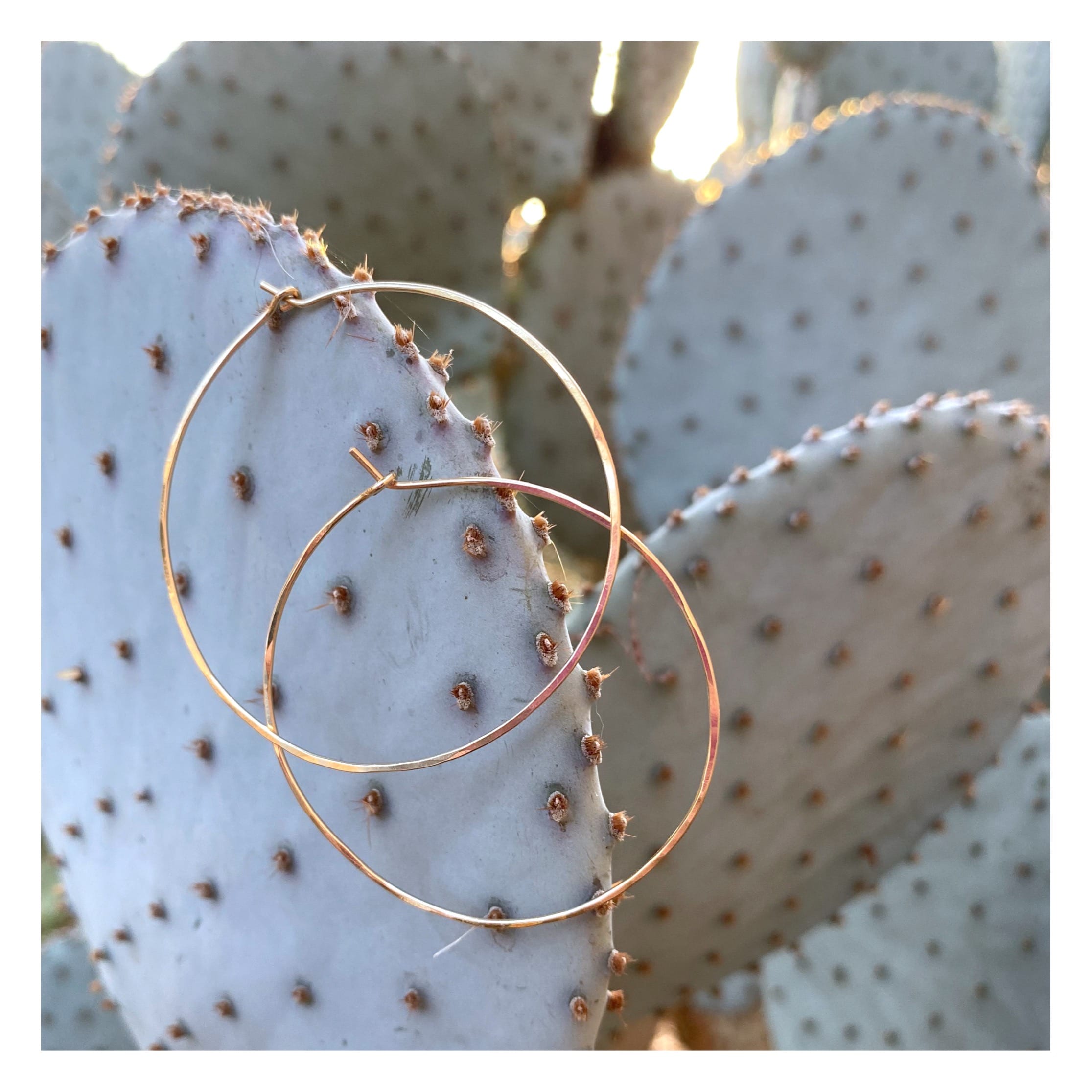 Round Hoop Earrings - Lotus Jewelry Studio
