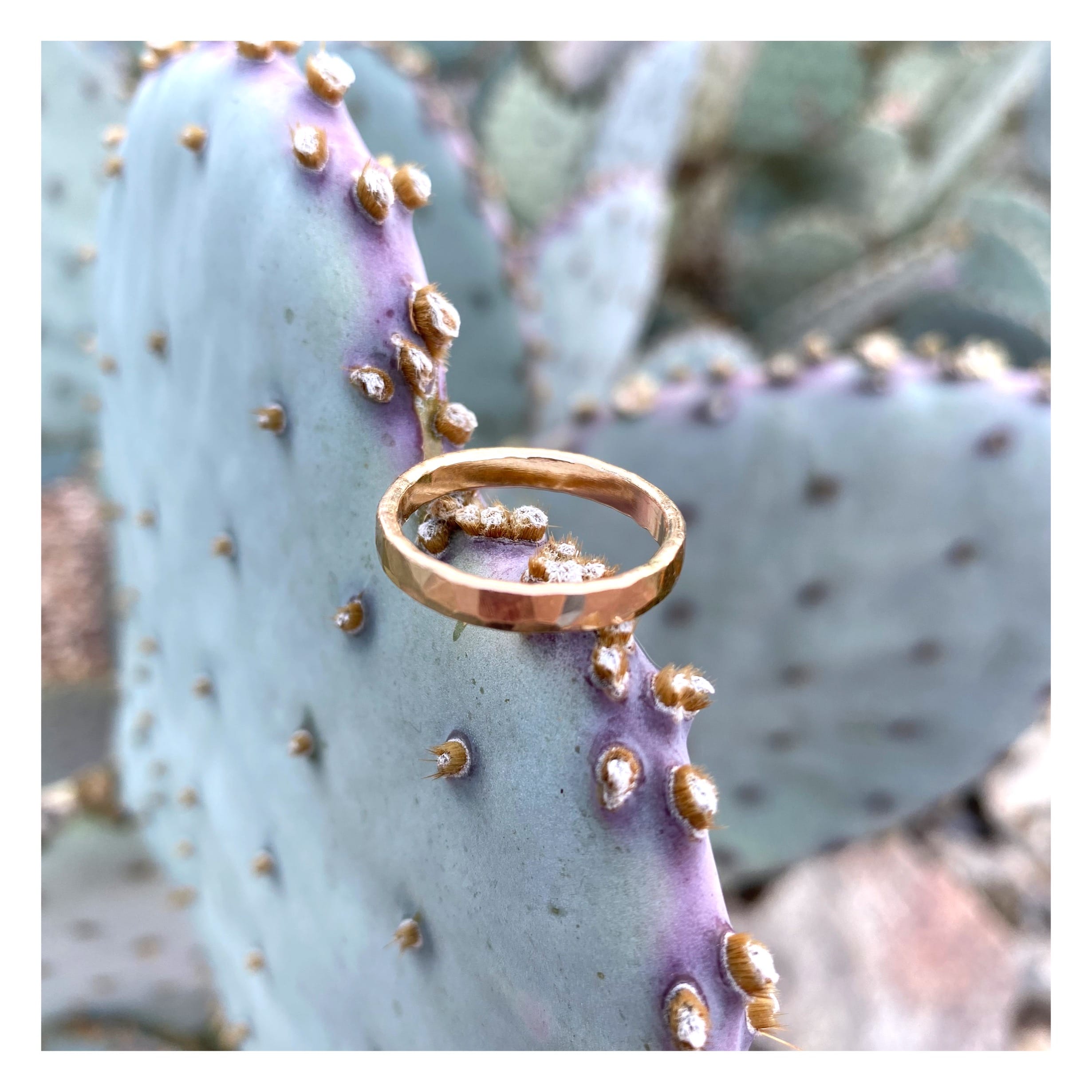 Salina Ring - Lotus Jewelry Studio